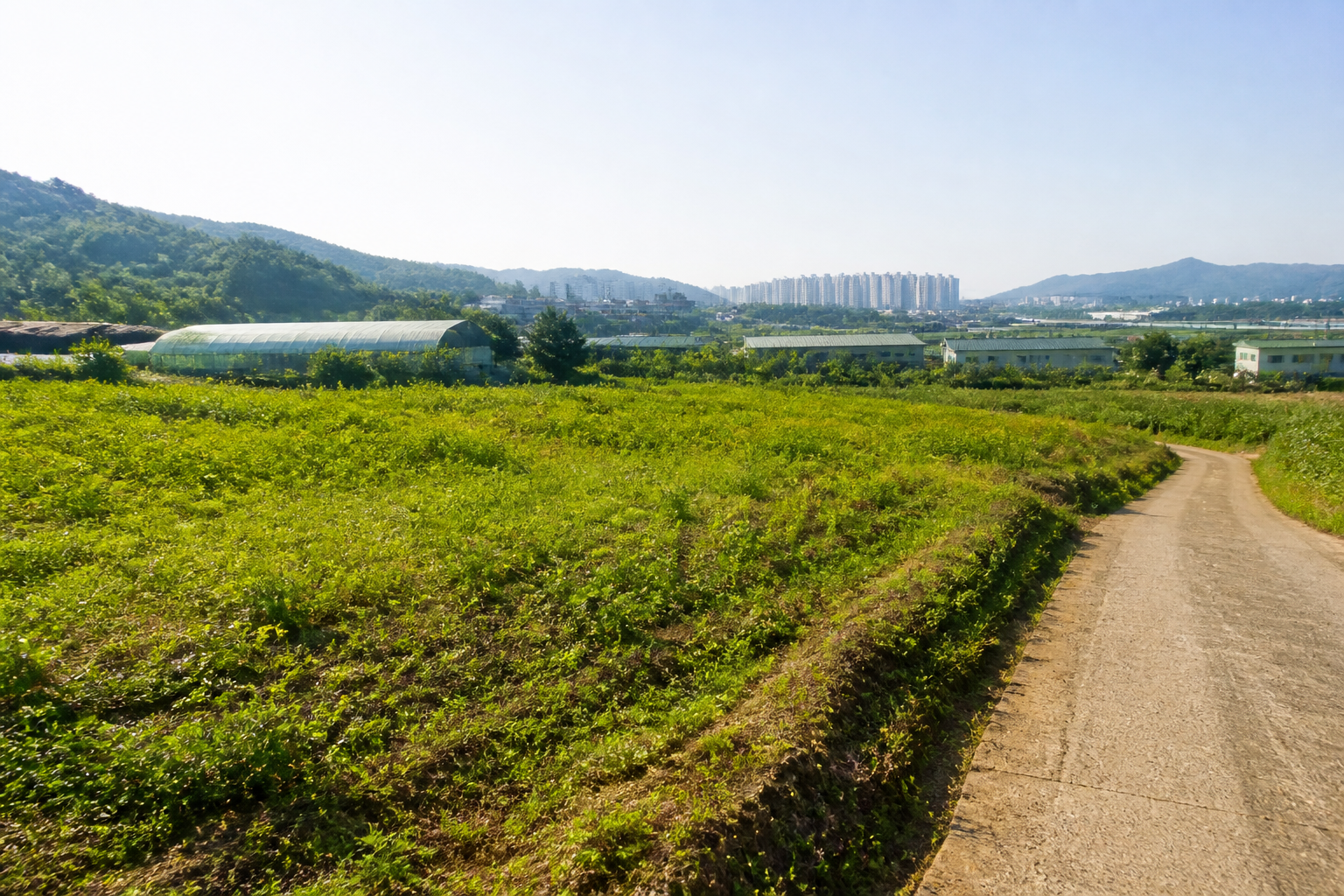 김해 토지와 부동산 전경