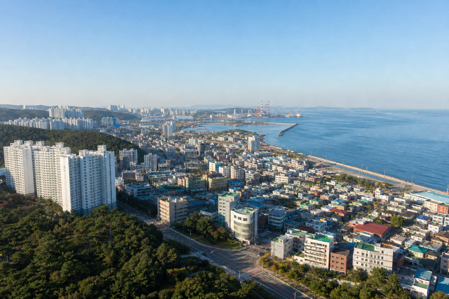 울산 일산동 치과 비교 데이터 안내