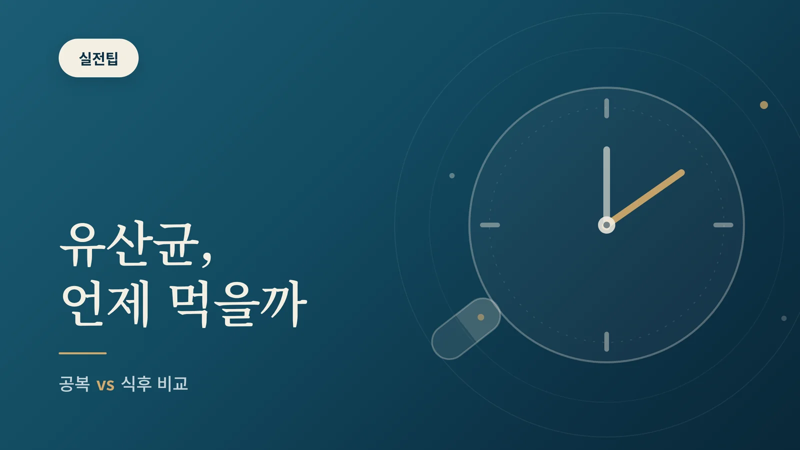 유산균 먹는 시간 안내 이미지