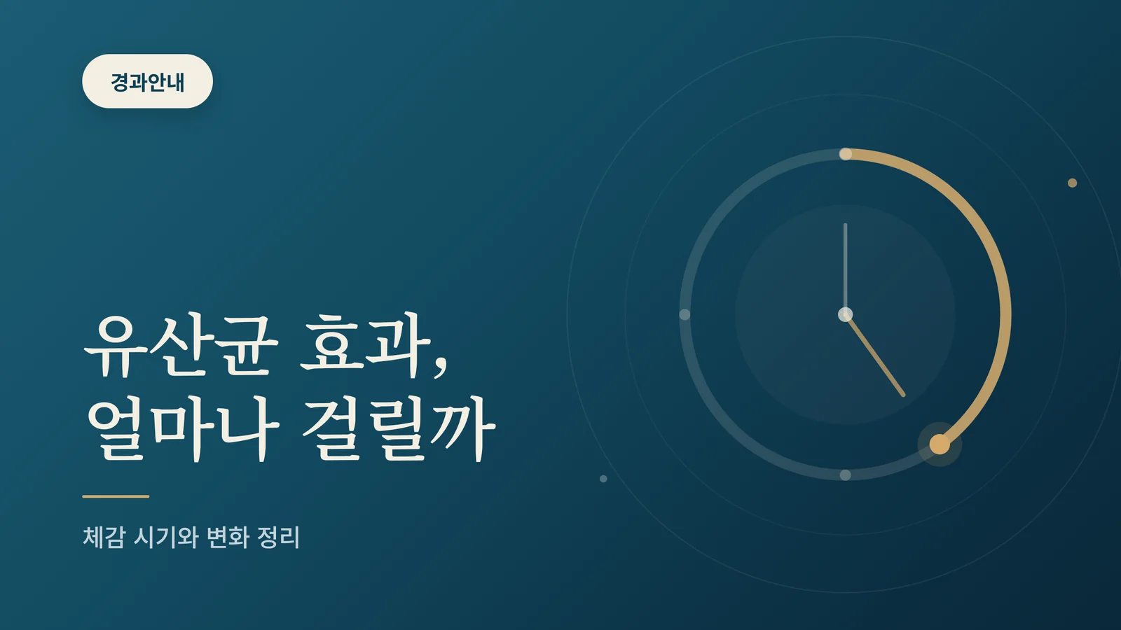 유산균 효과 체감 시기 안내 이미지