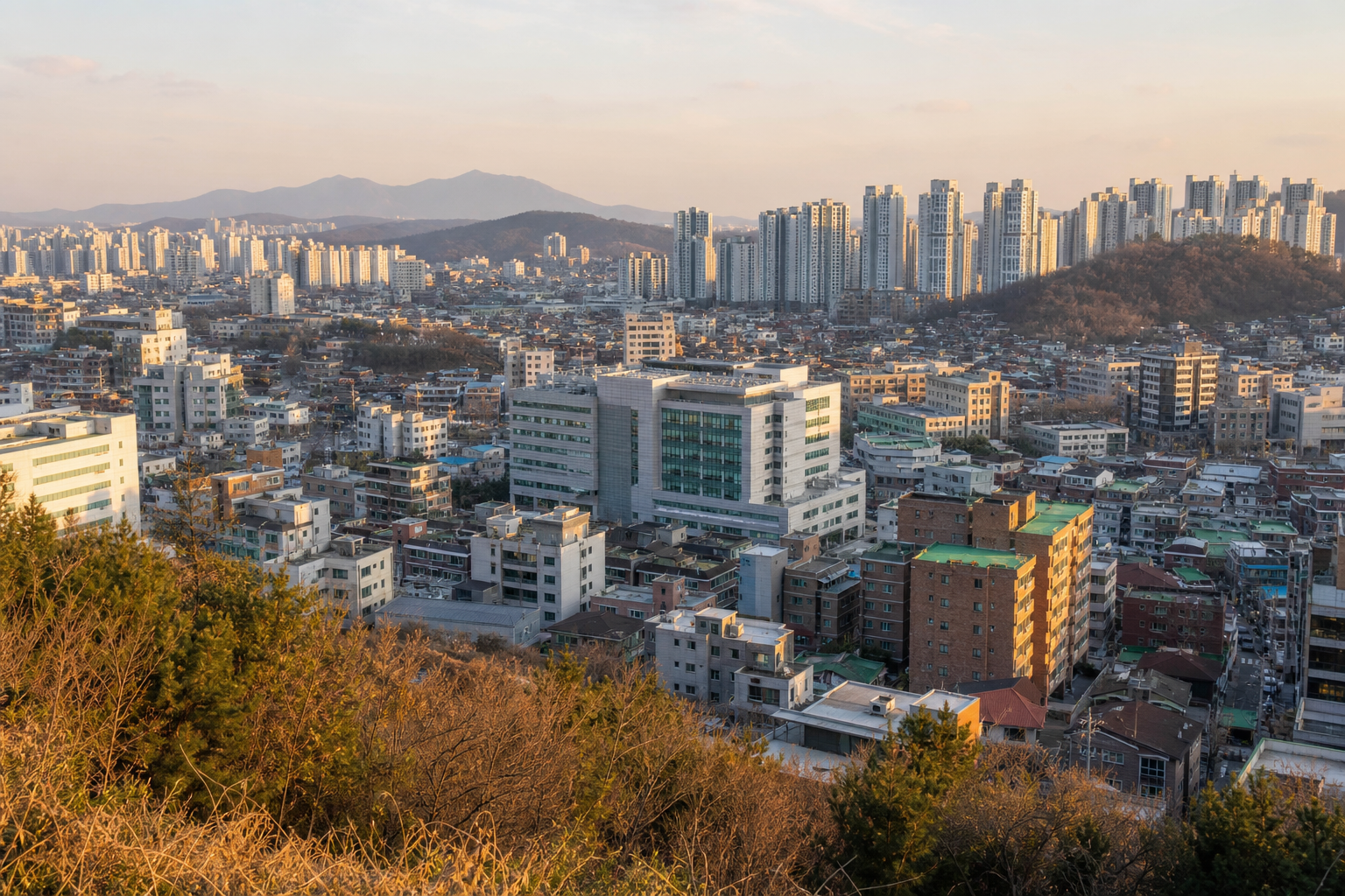 지역별 의료기관 비교 이미지